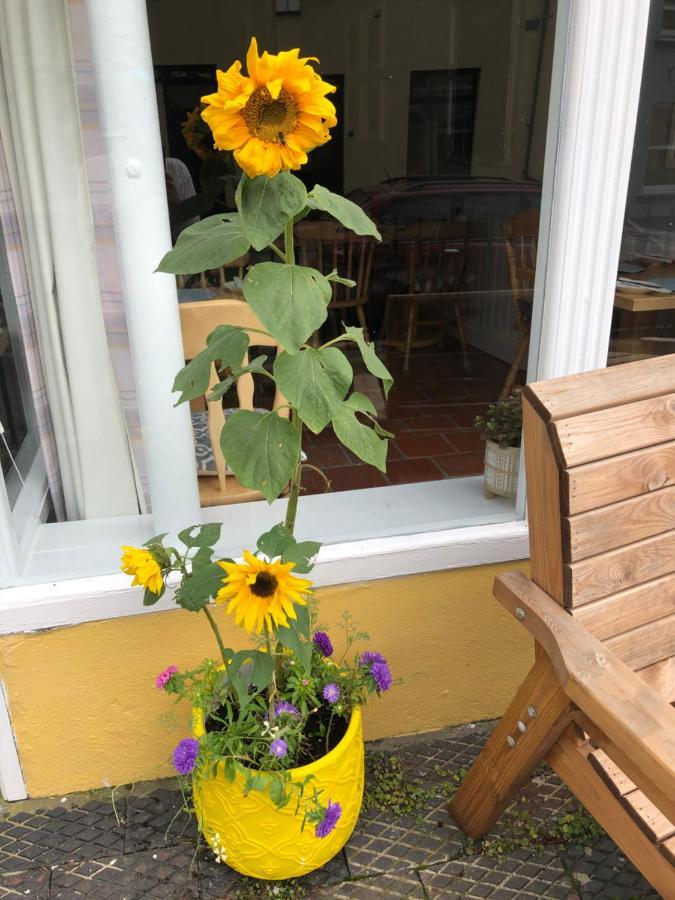 Dufferin Coaching Inn Killyleagh Bagian luar foto